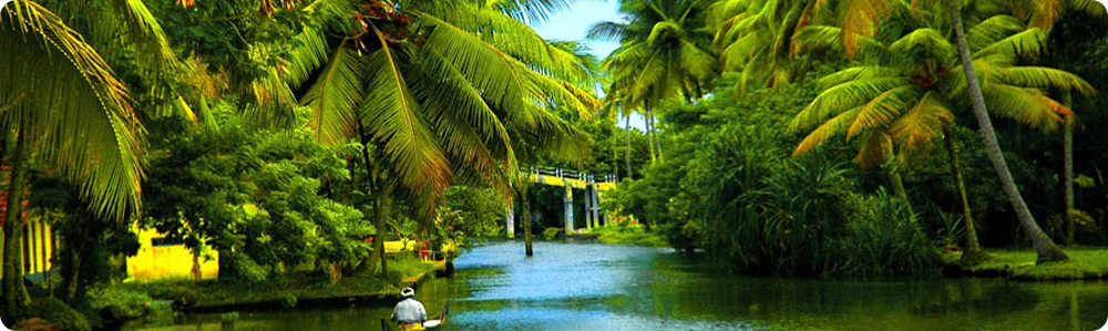 kerala tour packages