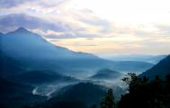 Munnar Landscape