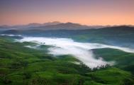 Munnar Hills Kerala