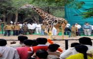 Trivandrum Zoo