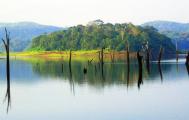 Thekkady Lake