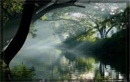 BAckwaters Alappuzha