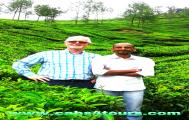 Kerala Tours